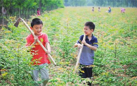 棠东民办学校,天河区民办学校,棠东学校有哪些.棠东哪间学校有名,